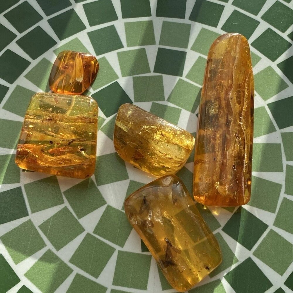 Natural Copal Lot 62.5g with Insect Inclusions UV Reactive Polished Pieces